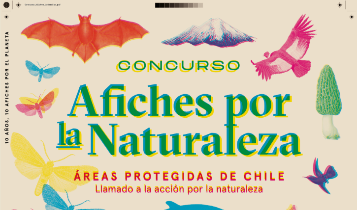 JOSÉ MANUEL ALLARD SERÁ JURADO PARA EL CONCURSO DE AFICHES POR LA NATURALEZA DE LADERA SUR Y PEW